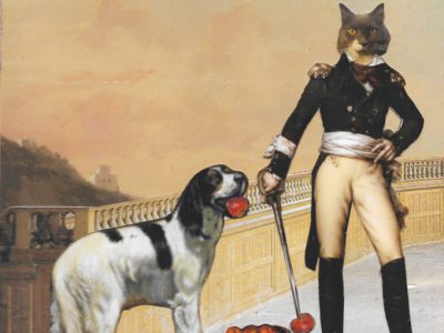How Cats See Themselves