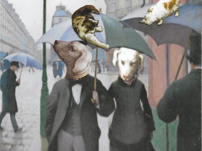 Raining Cats